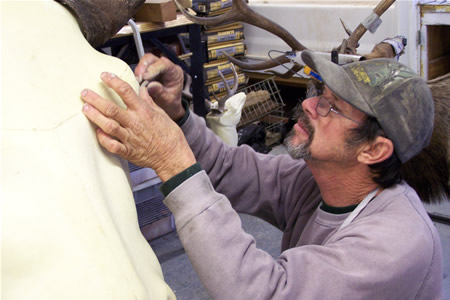 Grady Smith Taxidermist
