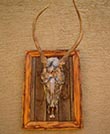 Arizona Taxidermy
