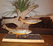 Arizona Taxidermy